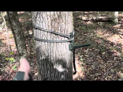 Cranford Rope Steps Review