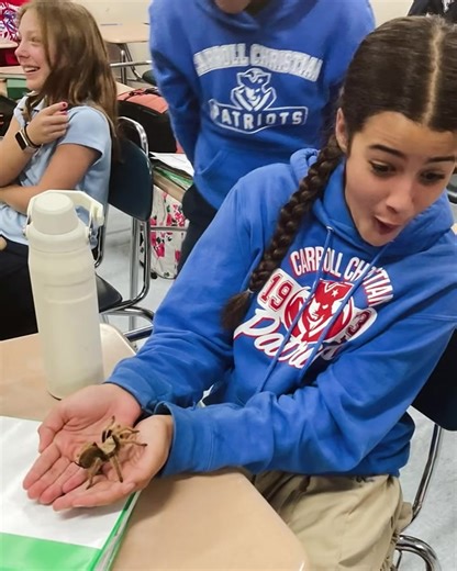 20 reactions | Last week the 6th grade science class got to observer spiders! ️ #ccs #carrollchristian | Carroll Christian Schools | Facebook