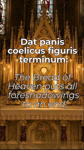 Panis Angelicus - Eucharistic Hymn #acapella #singing