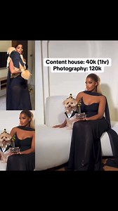 Lady shares the amount she spent on her dog’s 5th-birthday photoshoot. #memes #memesdaily | Gist Cafe