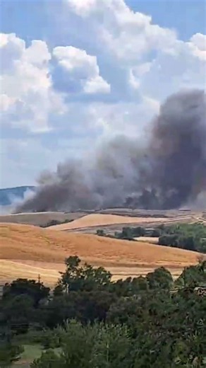Radi: vasto incendio brucia la vegetazione.