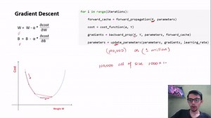 Mini-batch gradient descent in deep learning explained