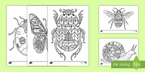 Bugs Mindfulness Colouring Sheets