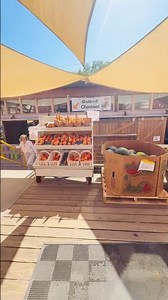 Swamp Rabbit Cafe & Grocery Greenville SC | The Must-Visit Local Gem on the Swamp Rabbit Trail