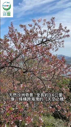 天橋立 傘松公園