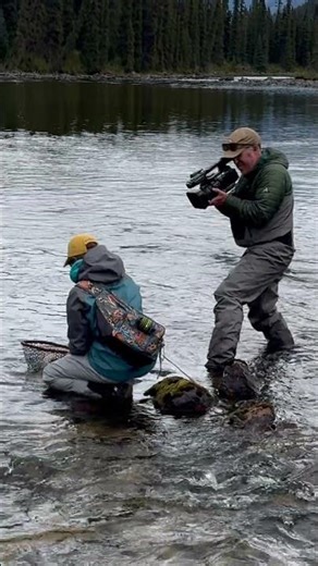 British Columbia Fly Fishing #flyfishing #britishcolumbia #outdoors