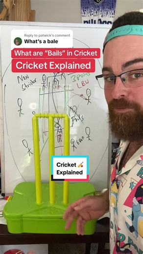 Understanding Bails in Cricket: A Complete Guide