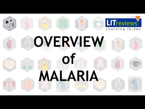 Overview of Malaria
