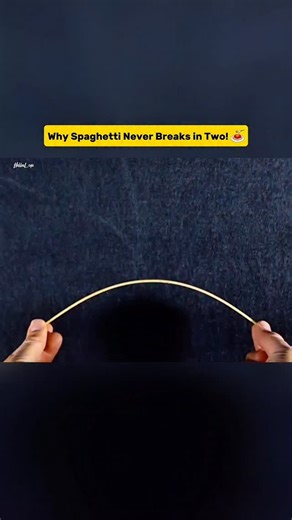 622K views · 2.1K reactions | Why Your Spaghetti Always Breaks Into 3 Pieces! ever wondered why spaghetti never breaks in two?  scientists struggled for decades to solve this mystery. in 2018, mit finally found the secret! discover the physics behind the impossible spaghetti break. #spaghetti #science #physics #mit #foodscience #shorts #didyouknow #funfacts #mindblown #experiment #reels #didyouknow #tranding | HiddenLogic | Facebook