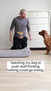 1.4M views · 38K reactions | Cat and Dog Work Together | Ruby the Labrador | Facebook