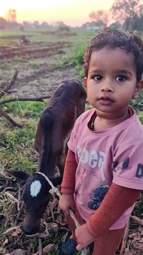 love of pitara #vbloger #love #shortsfeed #shortvideo #nature