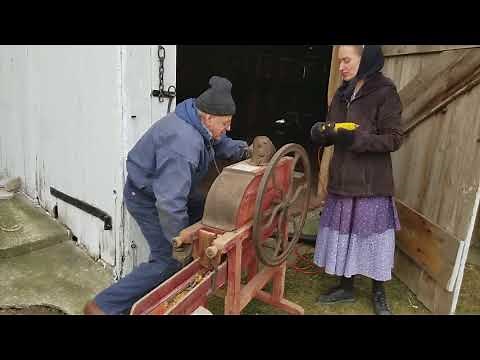 1892 Farm Corn Sheller in Operation