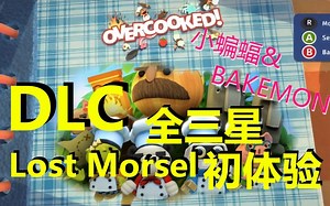 【初体验】DLC-Overcooked煮糊了双人模式全三星Lost Morsel