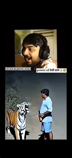 देशी दारू 🍺🍻🥂🐯