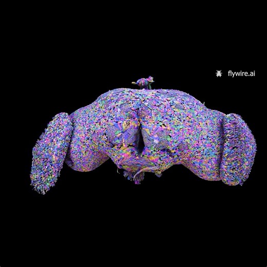 20K views · 217 reactions | How do electrical impulses traveling...