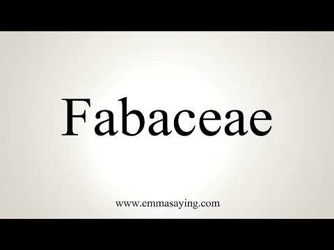 How To Pronounce Fabaceae
