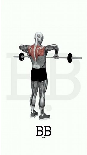 Barbell Upright Row (SHOULDERS & TRAPS): Build Wider Shoulders! 💪