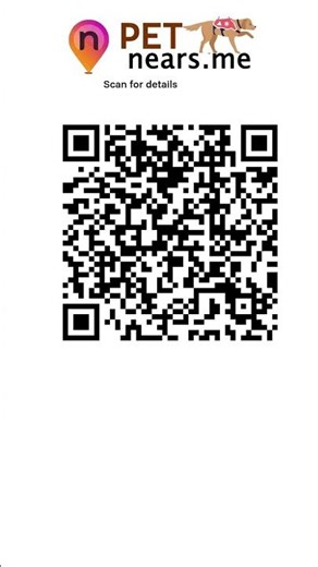 Fetch Family Pet Resort - Pet Boarding Service in Sewell, New Jersey | Pet Near Me 169