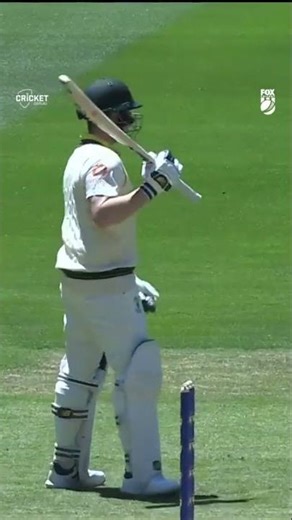 Hilarious Smith gives it back to a puzzled Josh Tongue #Ashes