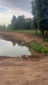 Pond Bank Repair | Safer Shoreline Stabilization