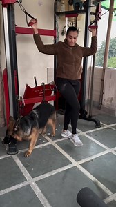Doing gym exercises with german shepherd zoey . . [rottweiler,rottweiler dog,rottweiler puppy,rottweilers,rottweiler puppies,rottweiler training,rottweiler attack,rottweiler vs german shepherd,rottweiler guard dog,german rottweiler,german shepherd vs rottweiler,rottweiler protection dog,rottweiler german shepherd mix breed,pet rottweilers,rottweiler tips,rottweiler funny,funny rottweiler,cutest rottweiler dogs,rottweilers attack,rottweiler for sale,rottweiler and german shepherd mix] . . #rottwe