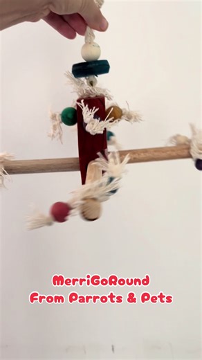 🦜New arrivals 🩷MerriGoRound From Parrots & Pets 🛒www.parrotsupplies.co.za