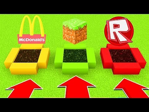 Minecraft : Do Not ENTER THE WRONG ENDPORTAL(MCDONALDS,MINECRAFT,ROBLOX)(PS4/XboxOne/PE/MCPE)