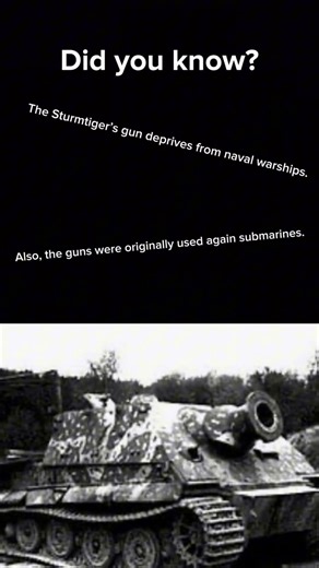 Where the Sturmtiger gun comes from #historyfacts #war