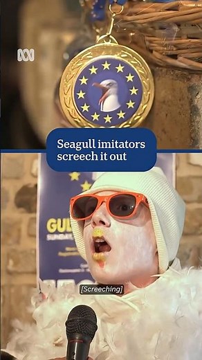 Seagull imitators compete for best screech at sixth European championship | ABC NEWS