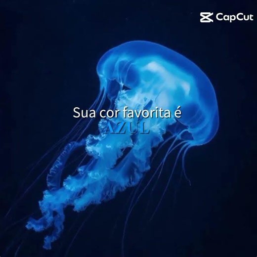 a minha cor favorita é preto e Azul #naoflopaporfavor #naofloppa