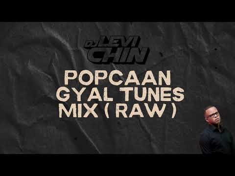 POPCAAN HITS GYAL TUNES MIX ( RAW ) | DJ LEVI CHIN