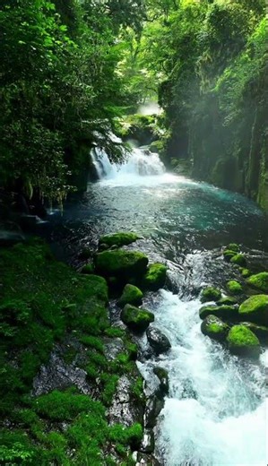 ✨️🌊 river + calm