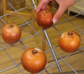 Level up your gardening skills with these easy planting tips!