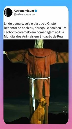 Memes Brasil on Instagram: "🫂🐕"