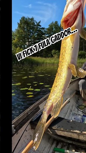 HEL FISKEDAG AV BLOOPERS.. #bloopers #fiske #outdoors