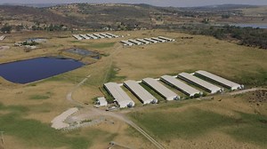 Countryside farm with nursery gardens - Free Stock Video