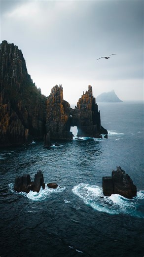 Manuel Dietrich | Germany 🇩🇪 | Travel | Hiking on Instagram: "Most people travel to Ireland for the classics. But beyond the well-known routes, there are places like Inishnabro - a remote and dramatic island off the coast of Ireland which is only reachable by boat 🛥️ There are a few tour operators in Dingle offering trips to the Great Blasket Islands and the island of Inishnabro is often part of these tours. Towering cliffs rise straight from the Atlantic, shaped like a natural cathedral carv