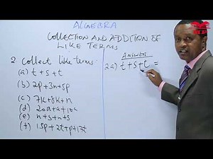 PRIMARY SCHOOL-STANDARD 5-MATHEMATICS-ALGEBRA