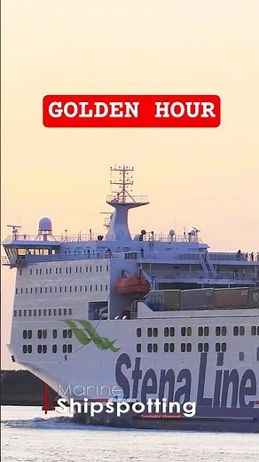 Stena Line Up Close 🚢 Golden Hour | Rotterdam #Shipspotting