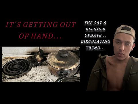 The Cat Blender Video | A Recently Popularized Gore Video #ad