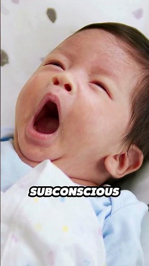 Why Yawns Are Contagious? The Brain Sync Explained