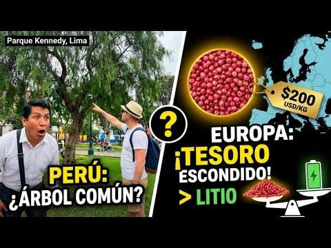 ¿Por qué el Molle, tesoro oculto de Perú, vale más que el litio de Chile?