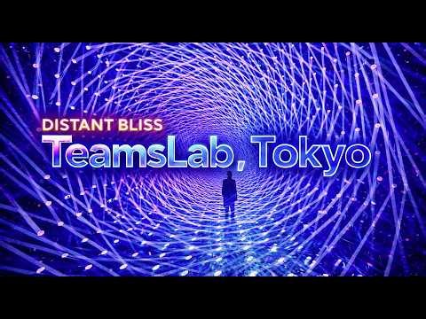 TeamsLab, Tokyo Japan