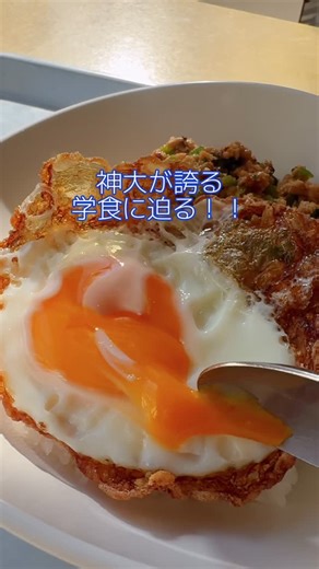 神奈川大学 on Instagram: "おしゃれなハンバーガーセットから シンプルなかけうどんまで🍔🍜 神大の学食を一挙にご紹介！ 明日のお昼ご飯はどこにする？🍴 ￣￣￣￣￣￣￣￣￣￣￣￣￣￣￣￣￣￣￣￣￣￣ 🍛今回ご紹介した学食👇 📍横浜キャンパス ●10号館1F カルフール ガパオライス 530円 かけうどん 300円 ●10号館3F chiffon 神大ソフト カップ 280円 神大ソフト コーン 340円 ●1号館8F 801・806食堂 白身魚フライタルタルソース 600円 とんかつシャリアピンソース 600円 ●19号館B1F LUX レモンバジル唐揚げ定食 600円 カツオのタタキ丼 610円 シーフードドリア 650円 📍みなとみらいキャンパス ●7F skuld 広東麺 500円 とろ〜りチーズのポークカツ 630円 ●21F lighthouse ハンバーガーセット 620円 豚ホルモンカレー 650円 🍴これらの学食は全てスタッフが美味しくいただきました💭 皆も行ってみてね！ #神奈川大学 #神大 #kanagawauniversity #神奈