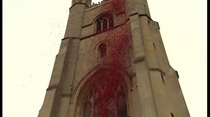 9.6K views · 15K reactions | Fifty thousand poppy petals were dropped from the top of Great St Mary's in Cambridge earlier today, to mark start of the British Legion's annual Poppy Appeal. | BBC Norfolk | Facebook