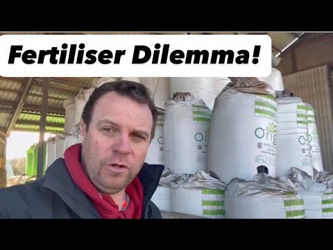 Is it possible to make more profit by not planting a crop at all?