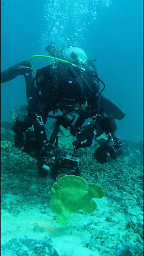 Enrico sumogyi on the move Android phone White light Seabfrog housing | Obet Corpuz