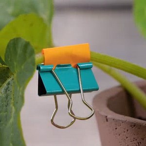 2.9M views · 67K reactions | Useful hacks to take care of your plants so they grow and blossom! | 5-Minute Crafts Play | Facebook