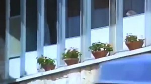 Hostages (1992) R | TV Movie | 96 min | Drama Welcome to the movies and television