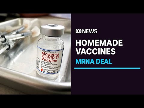 Moderna to be first mRNA vaccine made in Australia | ABC News
